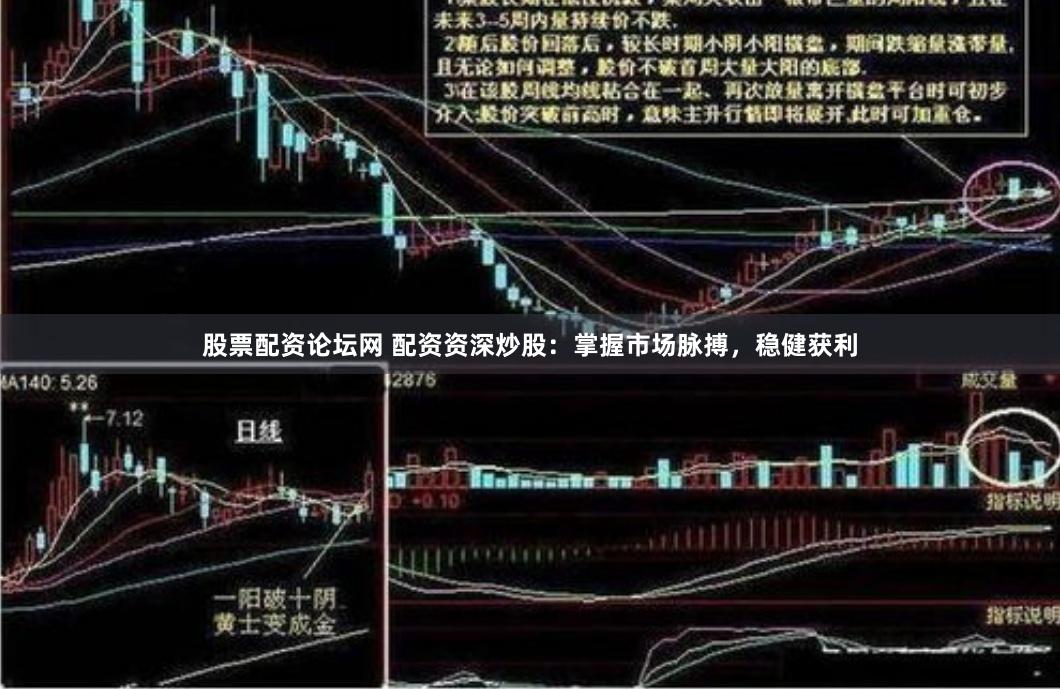 股票配资论坛网 配资资深炒股：掌握市场脉搏，稳健获利