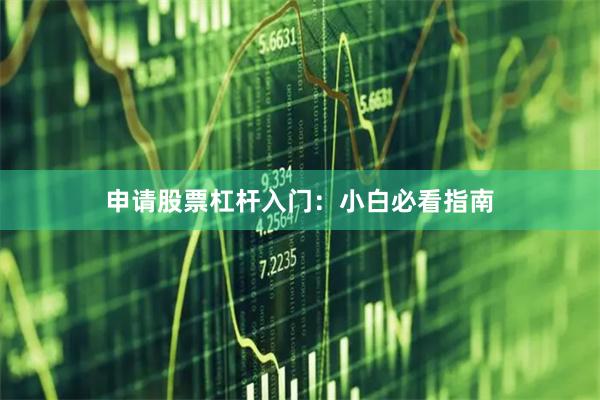 申请股票杠杆入门：小白必看指南